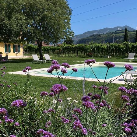 B&B Campagnon Valpolicella SantʼAmbrogio di Valpolicella Esterno foto