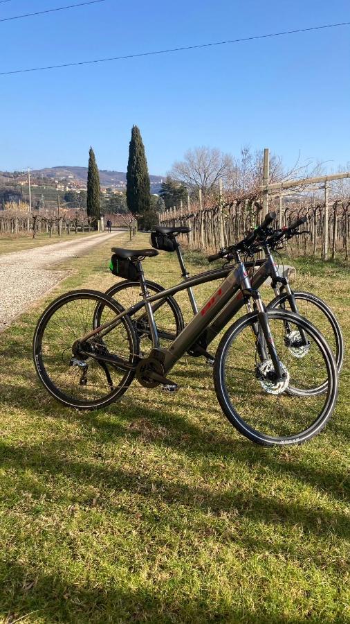 B&B Campagnon Valpolicella SantʼAmbrogio di Valpolicella Esterno foto