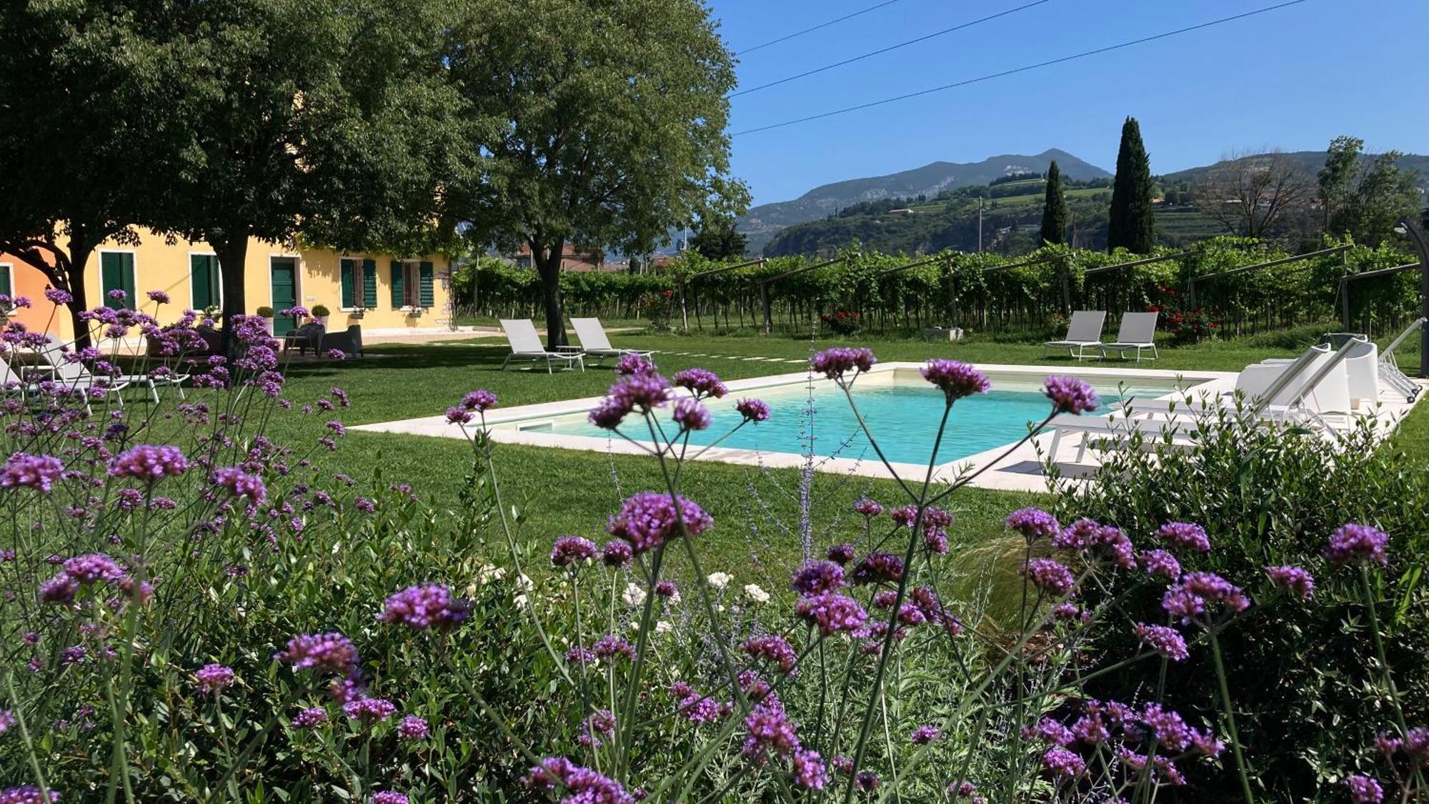 B&B Campagnon Valpolicella SantʼAmbrogio di Valpolicella Esterno foto