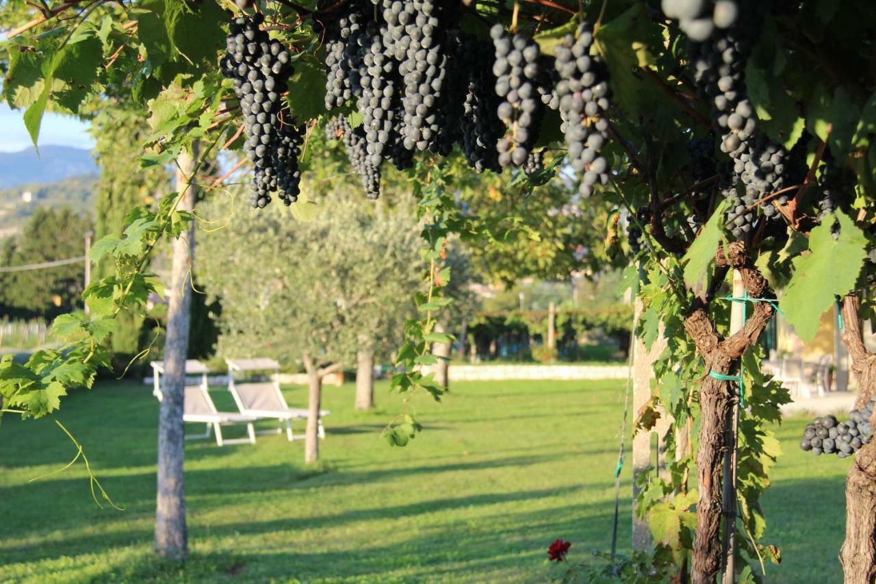B&B Campagnon Valpolicella SantʼAmbrogio di Valpolicella Esterno foto