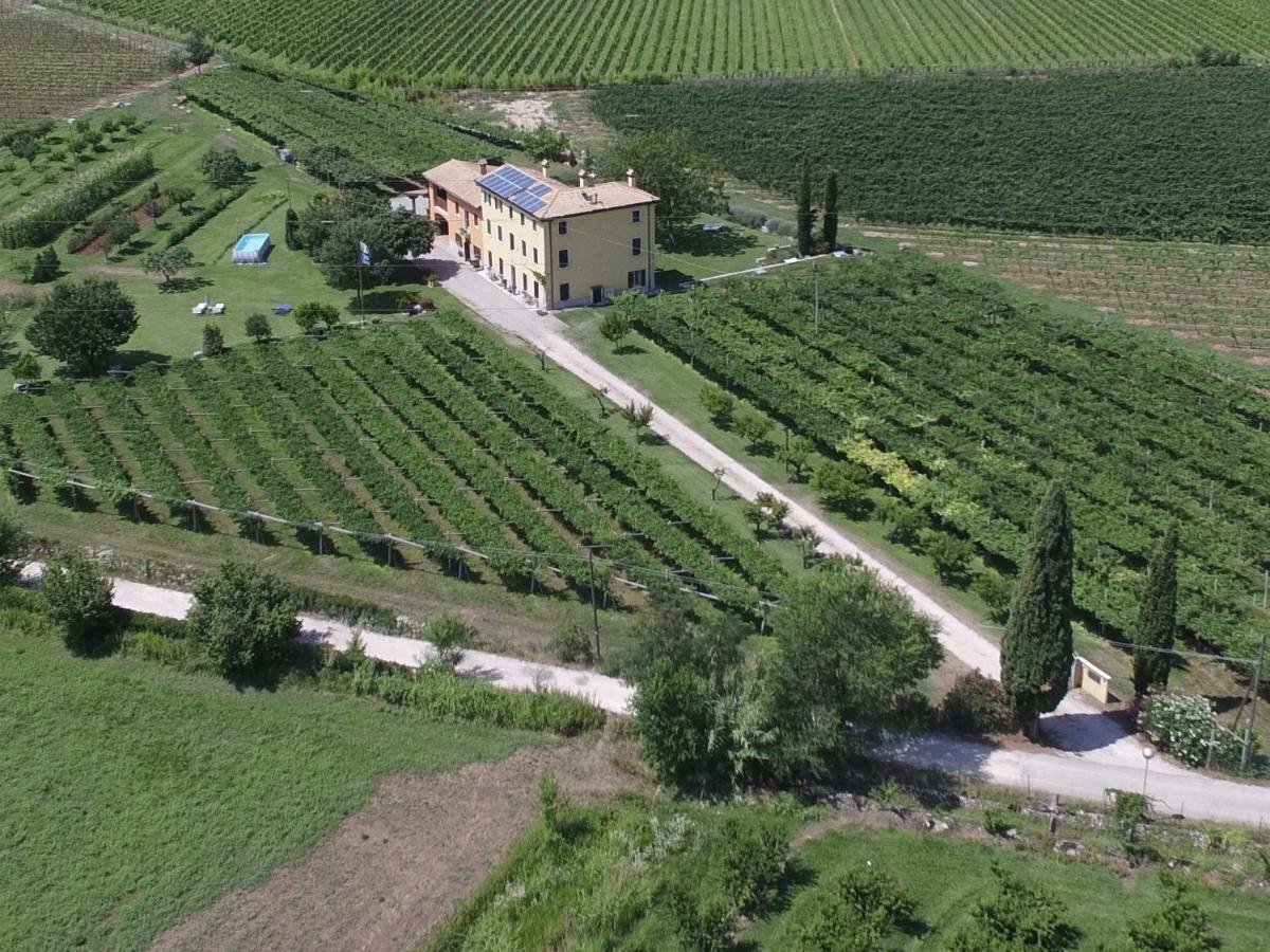B&B Campagnon Valpolicella SantʼAmbrogio di Valpolicella Esterno foto