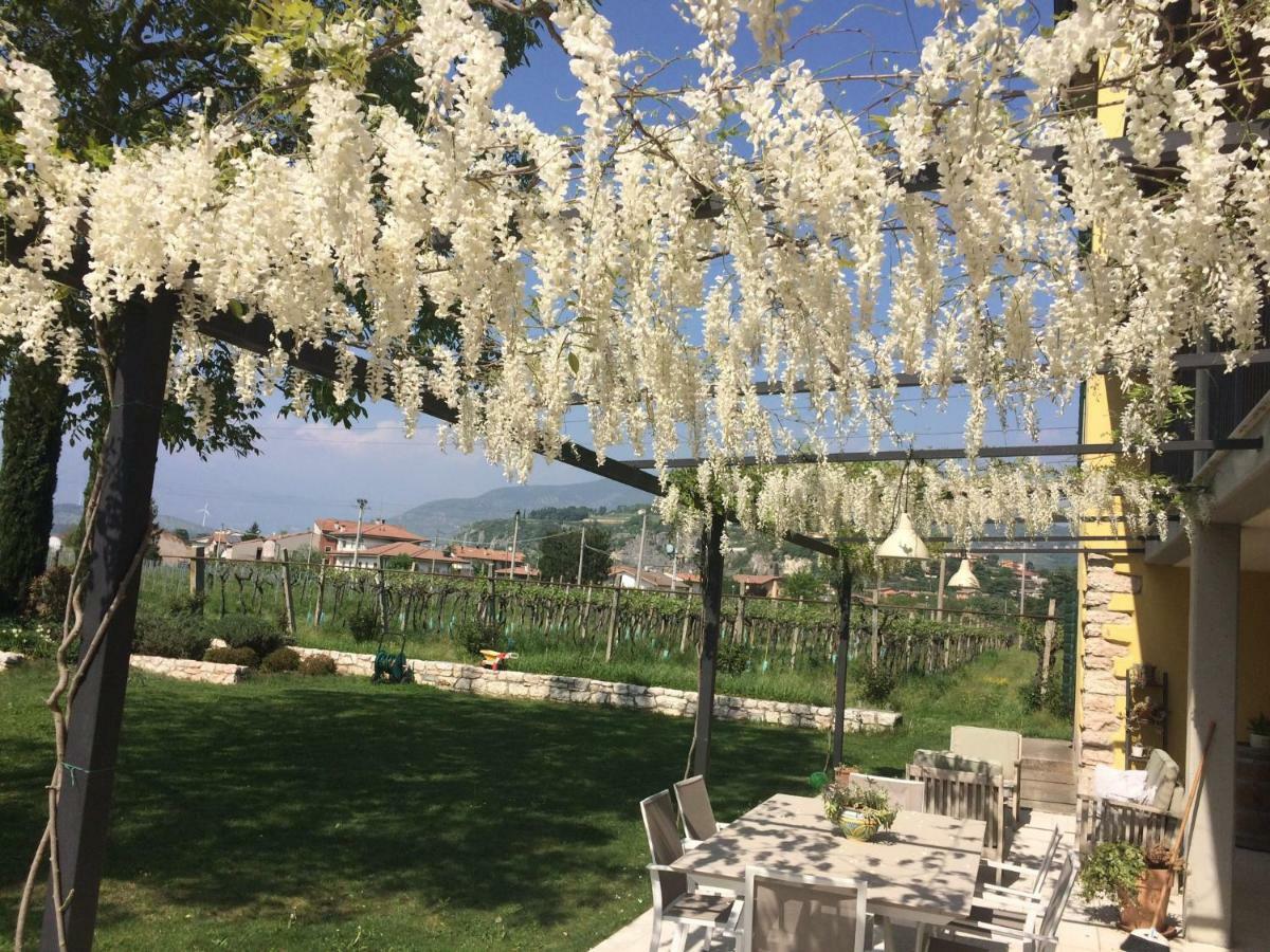 B&B Campagnon Valpolicella SantʼAmbrogio di Valpolicella Esterno foto