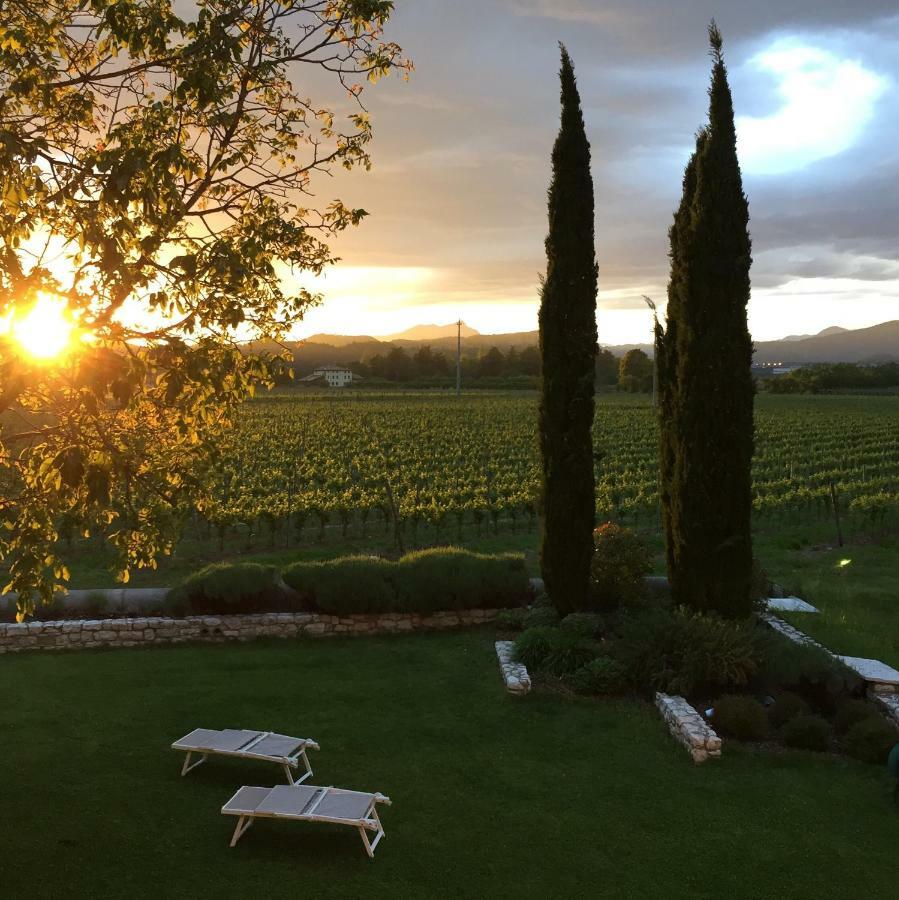B&B Campagnon Valpolicella SantʼAmbrogio di Valpolicella Esterno foto